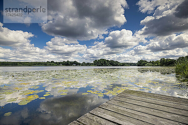 Sommertag am Ufer des idyllischen Bossees im Naturpark Westensee  prachtvolle WOlken spiegeln sich auf der Wasseroberfläche