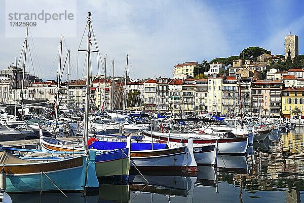 Hafen und Altstadt von Cannes  Côte d?Azur  Provence-Alpes-Côte d?Azur  Südfrankreich  Frankreich  Europa