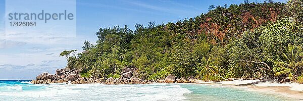 Anse Georgette Strand auf der Insel Praslin mit Palme Panorama Meer auf den Seychellen