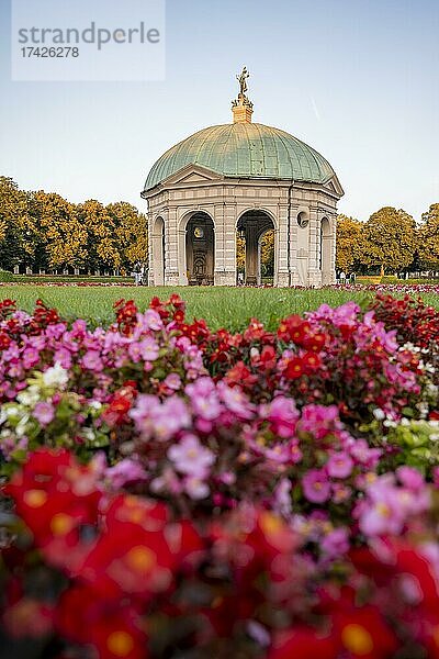 Blühende rote Blumen im Hofgarten mit dem Diana-Tempel  München  Oberbayern  Bayern  Deutschland  Europa