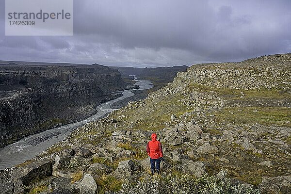 Person in rotem Anorak blickt zum Canyon der Jökulsá Á Fjöllum  Asbyrgi NP  Norðurland eystra  Island  Europa