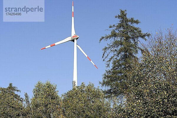 Ein Windrad zur Stromerzeugung steht in einem Mischwald  Sachsen  Deutschland  Europa