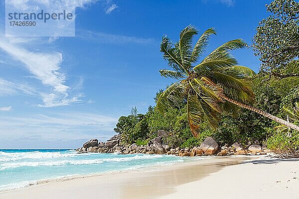 Anse Georgette Strand auf der Insel Praslin mit Palme Meer auf den Seychellen