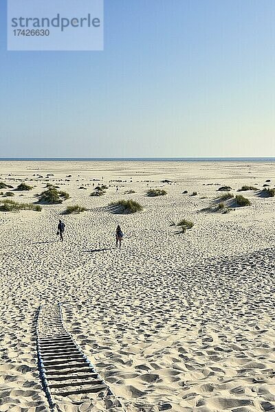 Sanddüne und breiter Strand bei Wittdün  Amrum  Nordfriesische Insel  Nordfriesland  Schleswig-Holstein  Deutschland  Europa