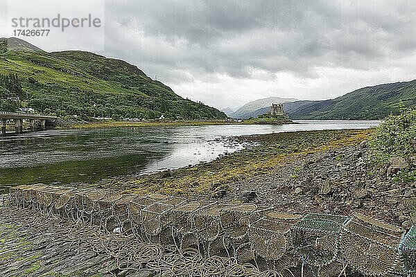 Fischreusen am See  Eilean Donan Castle  Dornie  Loch Duich  West Highlands  Schottland  Großbritannien  Europa