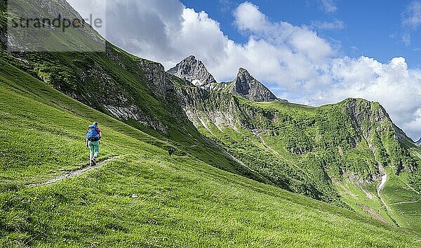 Wanderin auf einem Wanderweg  hinten Berge  Heilbronner Weg  Allgäuer Alpen  Oberstdorf  Bayern  Deutschland  Europa