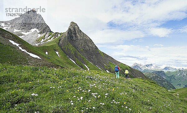 Zwei Wanderer auf einem Wanderweg  hinten Berge  Heilbronner Weg  Allgäuer Alpen  Oberstdorf  Bayern  Deutschland  Europa