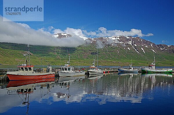Kleine Fischerboote und hohe  schneebedeckte Berge  Fjord  Seydisfjördur  Island  Europa