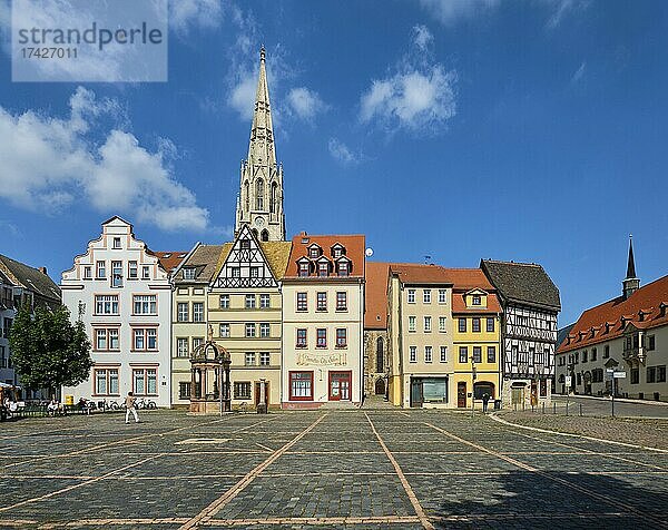 Marktplatz mit Stadtkirche St. Maximi  Merseburg  Sachsen-Anhalt  Deutschland  Europa