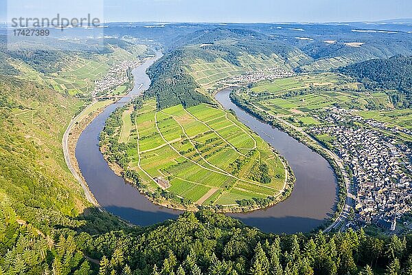 Moselschleife Calmont Fluss Mosel Schleife Natur Landschaft in Bremm  Deutschland  Europa
