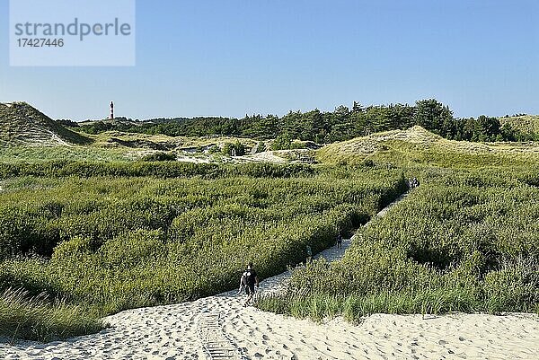 Dünengebiet am Wriakhörnsee  Amrum  Nordfriesische Insel  Nordfriesland  Schleswig-Holstein  Deutschland  Europa