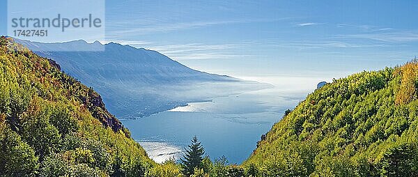 Bergwald am westlichen Gardasee Ufer mit der südlichen Monte Baldo Bergkette  Limone Sul Garda  Brescia  Gardasee West  Lombardei  Italien  Europa