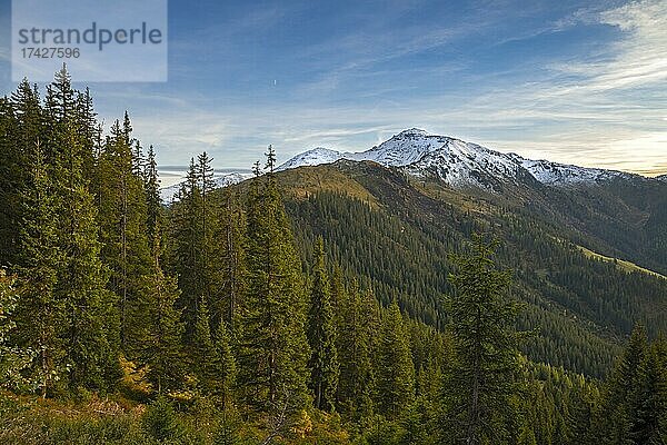 Herbstliche Gebirgslandschaft mit Fichten  dahinter der Gilfert  Naunz  Tuxer Voralpen  Tirol  Österreich  Europa