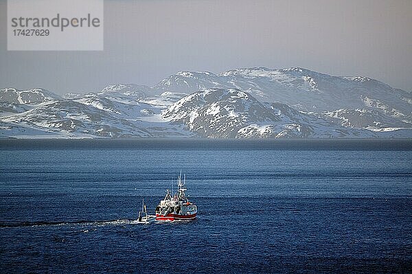 Fischerboot vor schneebedeckten Bergen  Fjord  Nuuk  Hauptstadt  Grönland  Dänemark  Nordamerika