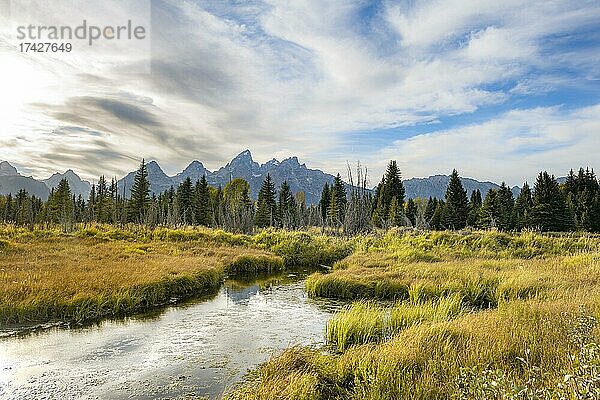 Grand Teton Range Gebirgszug  herbstliche Vegetation  Schwabacher Landing  Grand Teton National Park  Wyoming  USA  Nordamerika