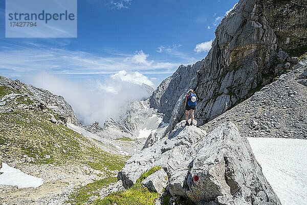Wanderin steht auf einem Felsen  Wanderweg zur Meilerhütte  Wettersteingebirge  Garmisch-Partenkirchen  Bayern  Deutschland  Europa