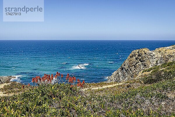 Schöne Landschaft und Meereslandschaft in Zambujeira Do Mar  Naturpark Vicentina-Küste  Alentejo  Portugal  Europa