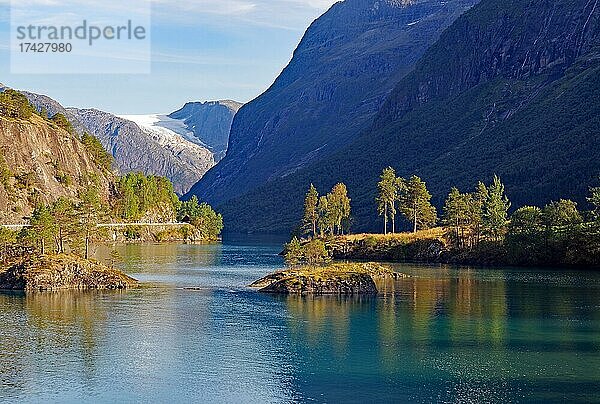 Baumreihe spiegelt sich in einem See  Berge unD Gletscher  Lovatnet  Stryn  Vestlandet  Norwrgen