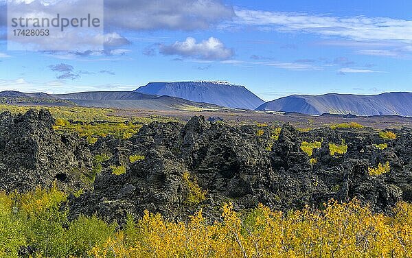 Lavafeld Dimmuborgir und Tuffring Ludent  Myvatn  Norðurland eystra  Island  Europa