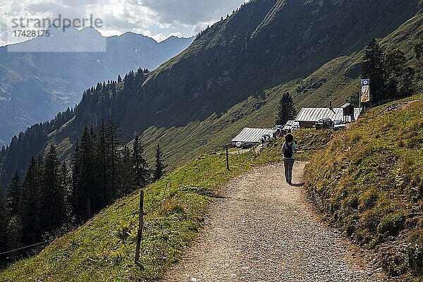 Wanderin auf Wanderweg zur Söller-Alpe  Oberstdorf  Oberallgäu  Allgäu  Bayern  Deutschland  Europa