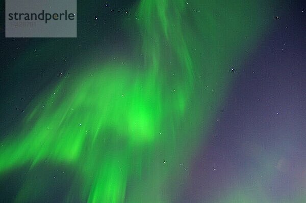 Nordlichter (aurora borealis)  Bleik  Vesteralen  Nordland  Norwegen  Europa