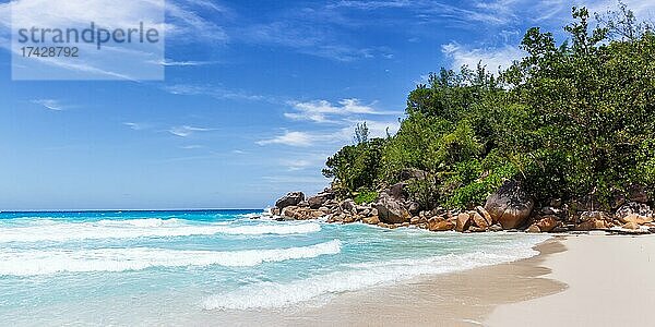 Anse Georgette Strand auf der Insel Praslin mit Palme Panorama Meer auf den Seychellen