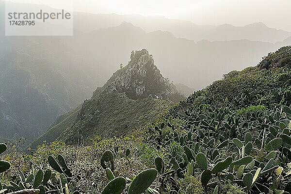 Blick auf Felsformation und Bergkette im Abenddunst  Roque de los Pinos  Gegenlicht  Chinamada  Naturpark Anaga-Gebirge  San Cristóbal de La Laguna  Teneriffa  Spanien  Europa