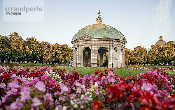 Blühende rote Blumen im Hofgarten mit dem Diana-Tempel  München  Oberbayern  Bayern  Deutschland  Europa