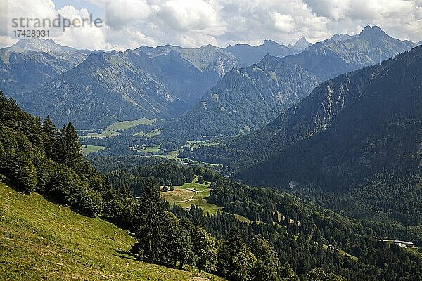 Ausblick vom Wanderweg zur Söller-Alpe ins Stillachtal und die Allgäuer Alpen  hinten  links Nebelhorn  hinten rechts Höfats  Oberstdorf  Oberallgäu  Allgäu  Bayern  Deutschland  Europa