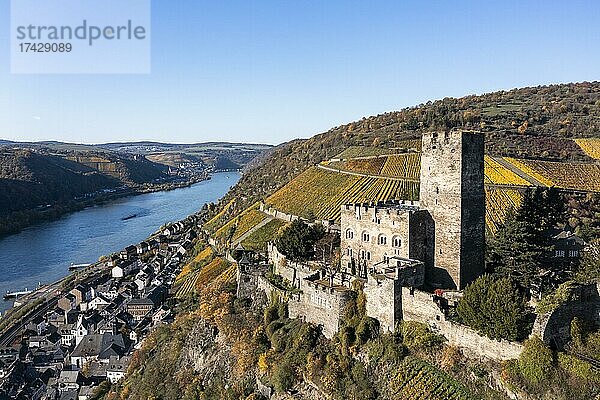 Luftaufnahme  Burg Gutenfels in Kaub am Rhein  Rheinland-Pfalz  Deutschland  Europa