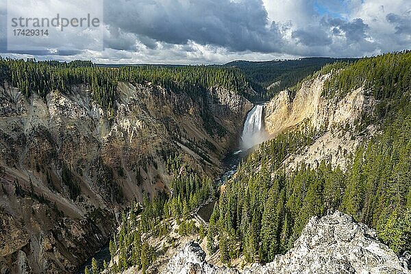 Lower Falls  Wasserfall in einer Schlucht  Grand Canyon of the Yellowstone River  Ausblick vom North Rim  Red Rock Viewpoint  Yellowstone Nationalpark  Wyoming  USAv