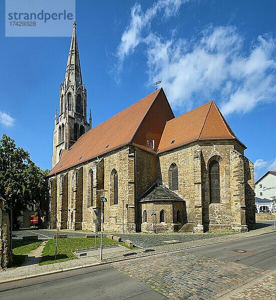 Stadtkirche St. Maximi  Merseburg  Sachsen-Anhalt  Deutschland  Europa