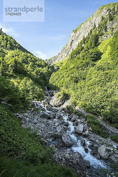 Bergbach  Fluss in einem Tal  Heilbronner Weg  Allgäuer Alpen  Oberstdorf