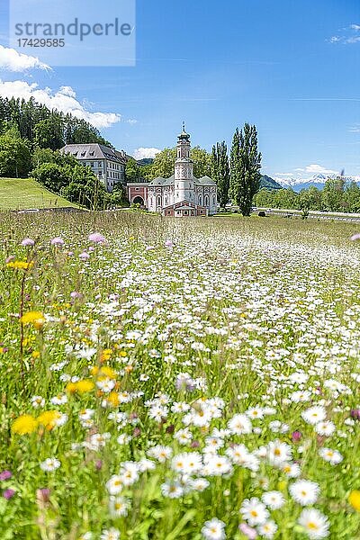 Blumenwiese vor Kloster St. Karl  Karlskirche  Klosterkirche zum Heiligen Karl Borromäus  Rokoko  Volders  Tirol  Österreich  Europa
