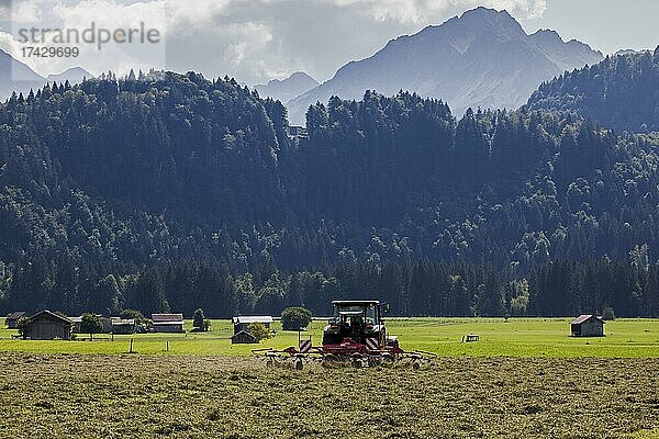 Heuernte mit Traktor  Oberstdorf  Oberallgäu  Allgäu  Bayern  Deutschland  Europa