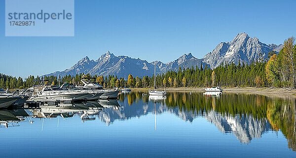 Berge spiegeln sich im See  Jackson Lake  Segelboote und Motorboote in einer Bucht  Colter Bay im Herbst  Teton Range Gebirgszug  Grand Teton National Park  Wyoming  USA  Nordamerika
