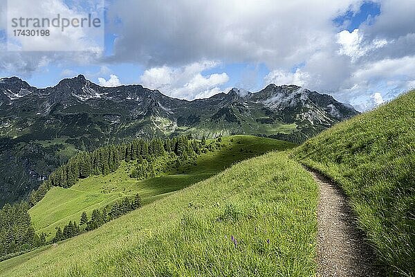 Einsamer Wanderweg  hinten Berge  Heilbronner Weg  Allgäuer Alpen  Oberstdorf  Bayern  Deutschland  Europa