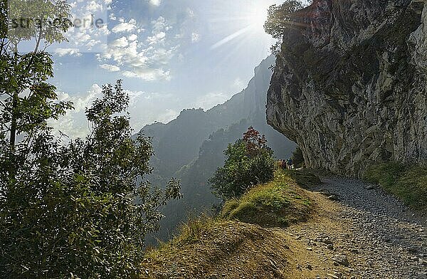 Alte Küstenstraße und Wanderweg Via Ponale  Riva del Garda  Gardasee Nord  Trento  Trentino-Alto Adige  Italien  Europa