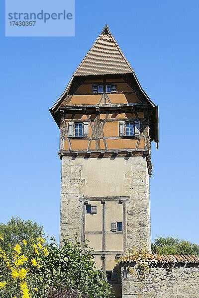 Bäuerlinsturm an der Stadtmauer in der historischen Altstadt  Dinkelsbühl  Mittelfranken  Bayern  Deutschland  Europa