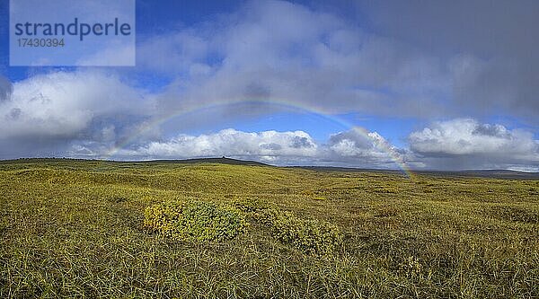 Regenbogen über der herbstlich gefärbten Landschaft  Straße 864  Norðurland eystra  Island  Europa