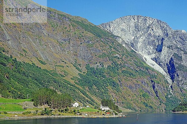 Fjord mit kleiner Ortschaft  Wald und hohen Bäumen  Nærøyfjord  Gudvangen  Gemeinde Aurland  Fjordnoregen  Skandinavien  Norwegen  Europa