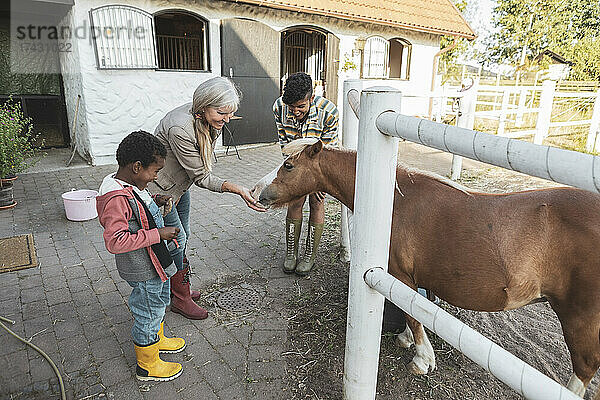 Ältere Frau füttert Pony auf dem Bauernhof