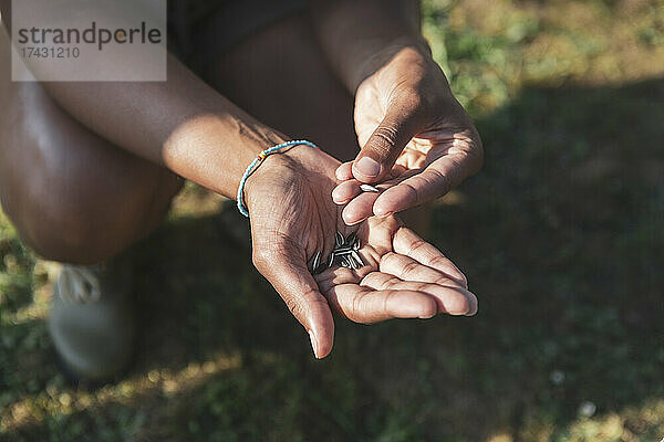 Ausgeschnittenes Bild von Händen mit Samen an einem sonnigen Tag