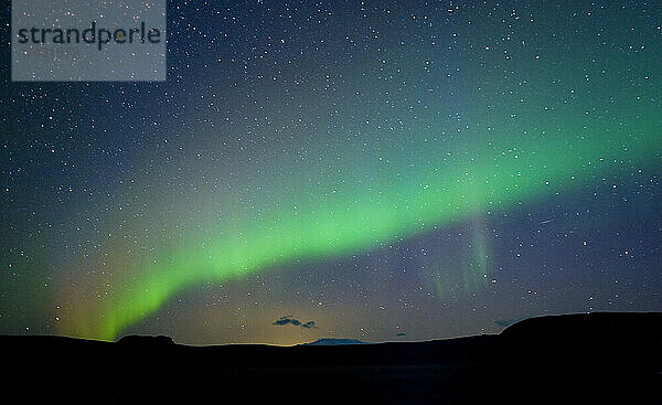 Island  Vik  grüne Nordlichter am Nachthimmel
