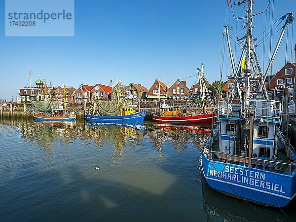 Kutterhafen Neuharlingersiel  Wangerland  Ostfriesland  Niedersachsen  Deutschland  Europa