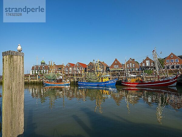 Kutterhafen Neuharlingersiel  Wangerland  Ostfriesland  Neuharlingersiel  Niedersachsen  Deutschland  Europa