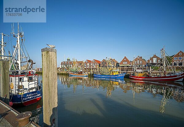 Kutterhafen Neuharlingersiel  Wangerland  Ostfriesland  Neuharlingersiel  Niedersachsen  Deutschland  Europa