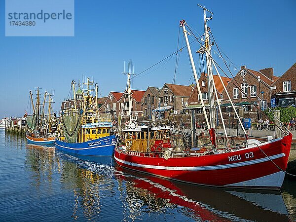 Kutterhafen Neuharlingersiel  Wangerland  Ostfriesland  Niedersachsen  Deutschland  Europa