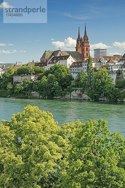 Blick vom Rheinufer entlang der Flusspromenade auf das Basler Münster und die begrünte Basler Altstadt mit dem türkis farbigem Rhein Fluss im Vordergrund