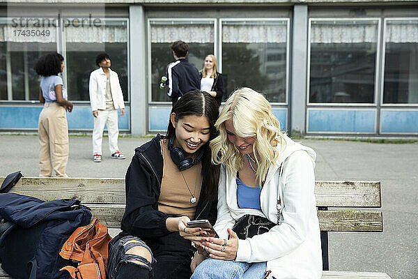 Freundinnen benutzen ihr Smartphone  während sie auf einer Bank sitzen